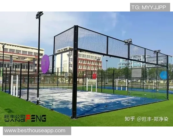 上海网球队战术深度解析与对比分析全景展示